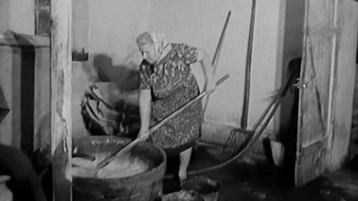 V okrese Havlíčkův Brod staví mezidružstevní podnik