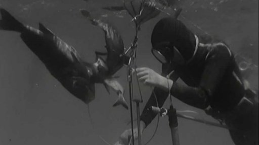 Rybářské závody pod vodou ve Španělsku