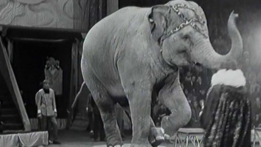 Umění sovětských artistů v Moskevském cirku