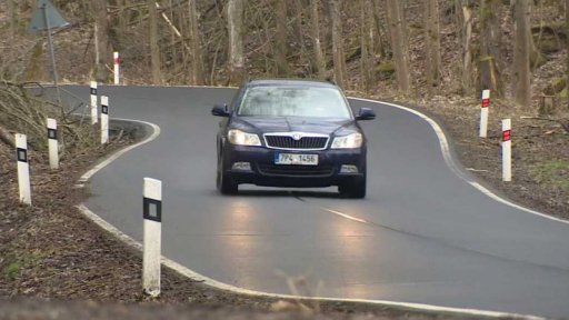 Srážky se zvěří