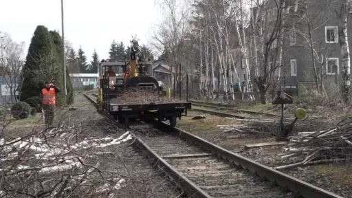 Prořez kolem tratí