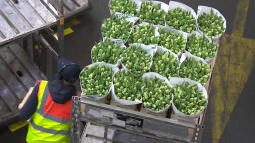 Rostoucí cena květin