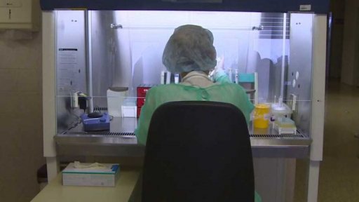 Indická mutace v Česku