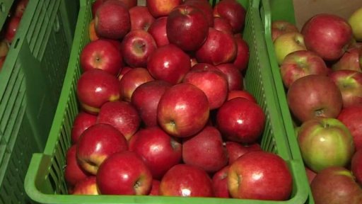 Plné sklady ovoce a zeleniny