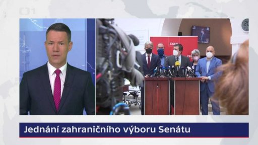 Jednání zahraničního výboru Senátu