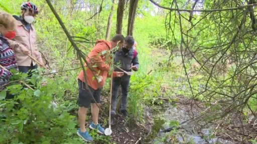 Boj proti komárům v Bratislavě