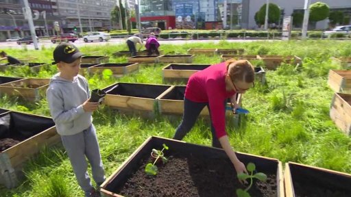 Komunitní zahrada v centru Pardubic