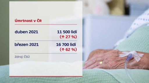 Úmrtnost v ČR