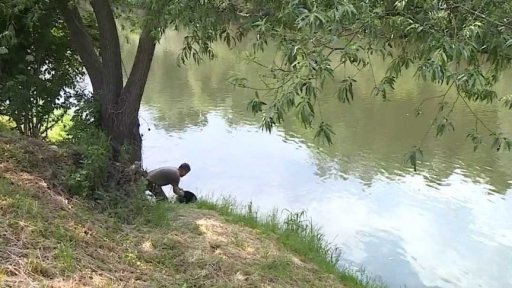 Tisíce nových ryb v Bečvě