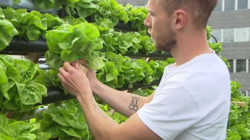 Záhony na střeše nákupního centra