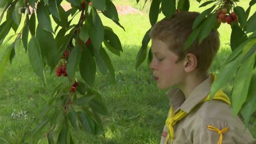 Přípravy letních táborů