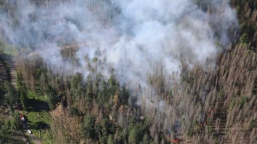 Požár lesa v Českém Švýcarsku