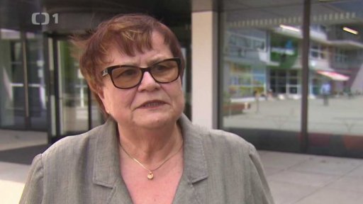 Výběr šéfa žalobců