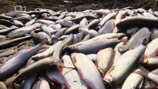 Obvinění za otravu Bečvy