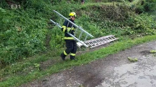 Pády stromů na Havlíčkobrodsku