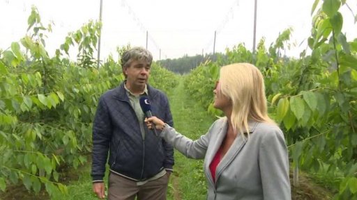 Vývoj spotřebitelských cen