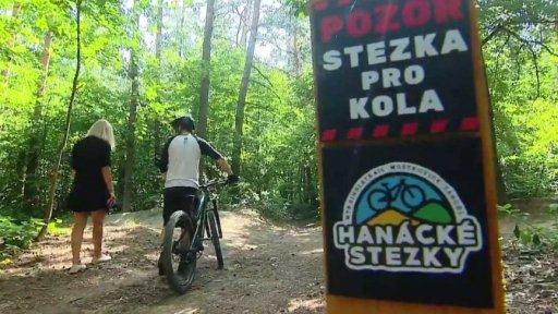 Terénní stezky v lesích