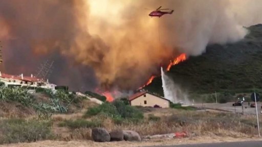 Lesní pořáry na Sardinii