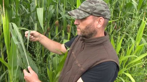 Žně v jižních Čechách