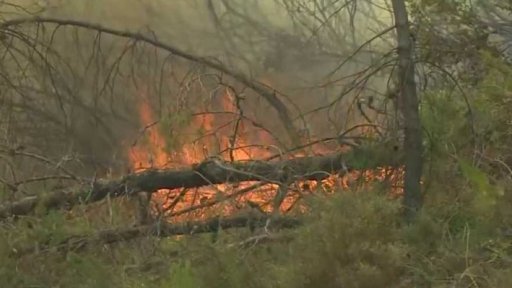 Lesní požáry v Řecku