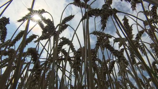 Zpráva OSN o klimatu