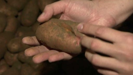 Proměnlivé počasí a sklizeň