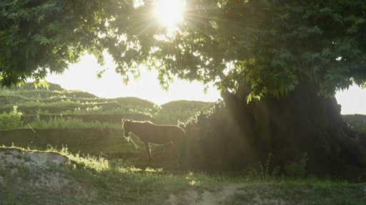 Předpověď na další dny