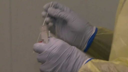 Mutace koronaviru mí