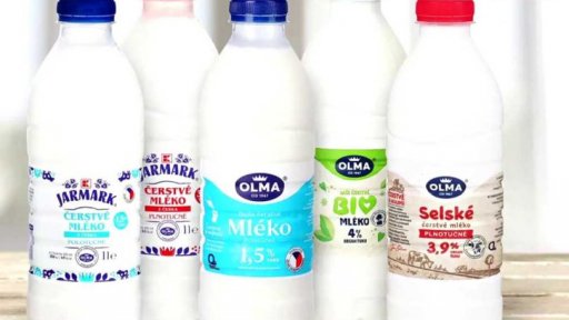 Olma stahuje čerstvé mléko