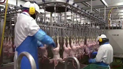 Problémy se zásobováním v Británii