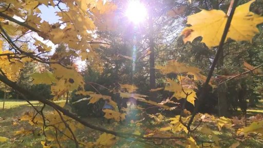 Příběhy dlužníků