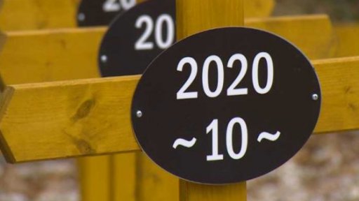 Světový den obětí dopravních nehod