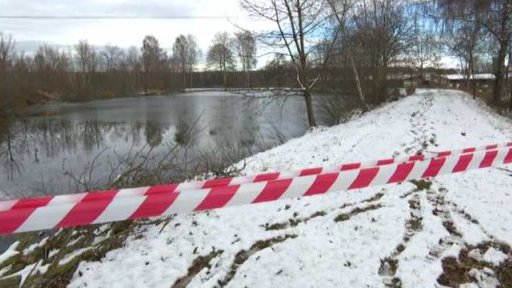 Ptačí chřipka u dalšího hejna hus