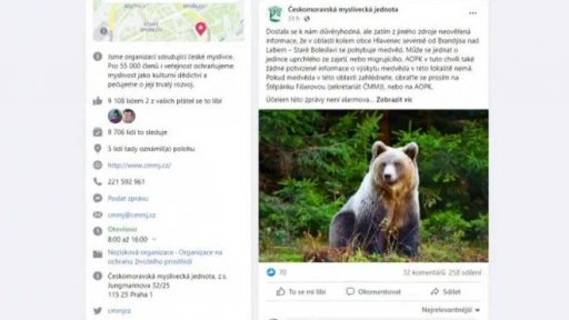 Medvěd u Staré Boleslavi