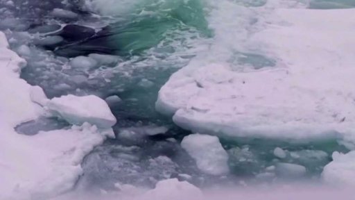 Potvrzení teplotního rekordu v Arktidě