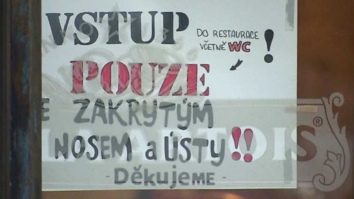 Koronavirus v Česku