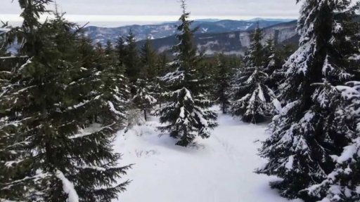 Změna pravidel v národních parcích