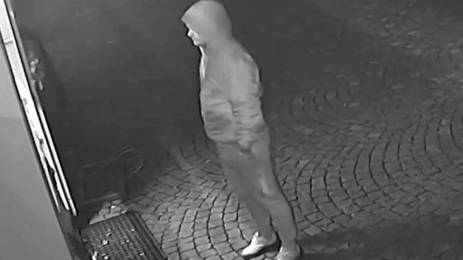 Pátrání po lupiči