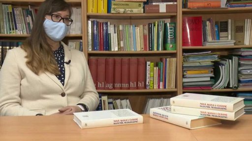 Koronavirové novotvary