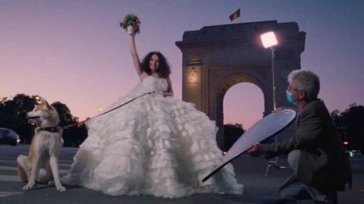 Práce distributorů