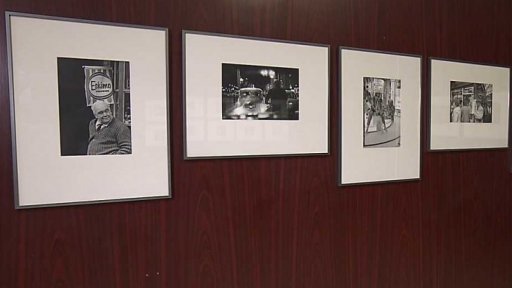 Fotografie Miloše Budíka