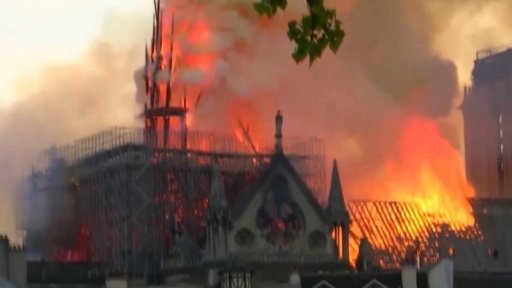 Stromy pro Notre Dame