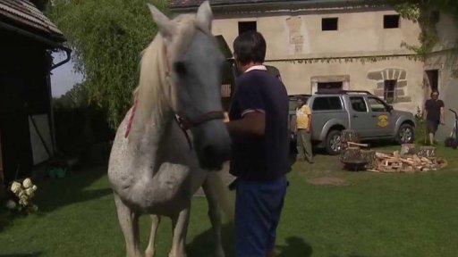 Nový film Alice Nellis