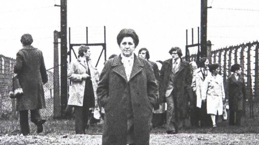 Dokumentární snímky Pavla Diase