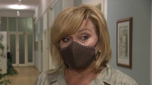 Státní dluh Česka