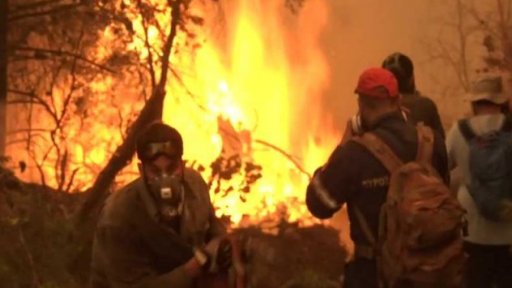 Požáry v Řecku ničí lesy a ohrožují obyvatele