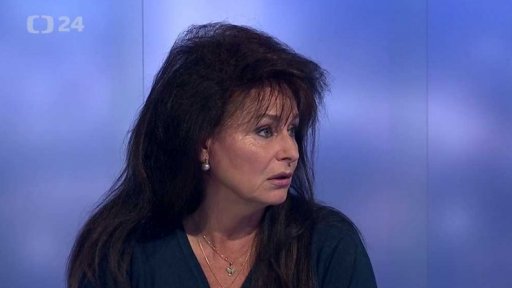 Kauza Čapí hnízdo