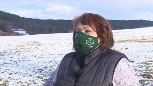 Regulace vlčích smeček na Slovensku