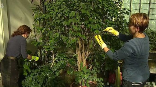 Zimní opravy zámku Lednice