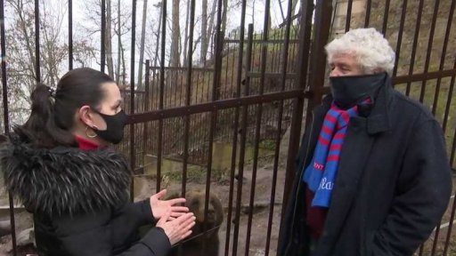 Výlety za medvědy z večerníčků